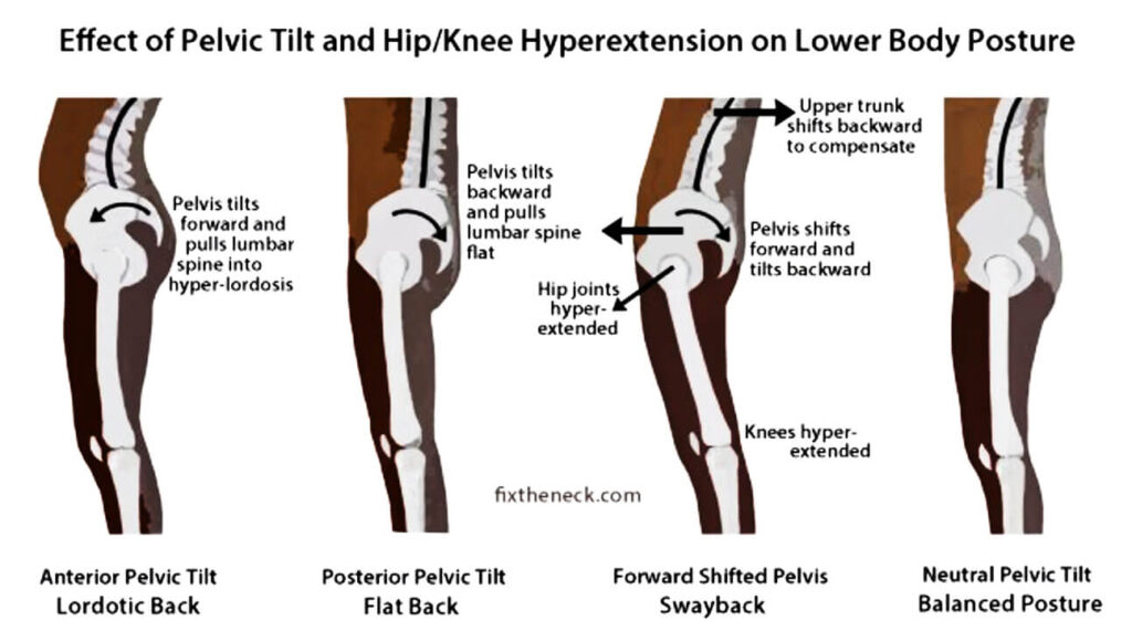 Pelvic Tilts